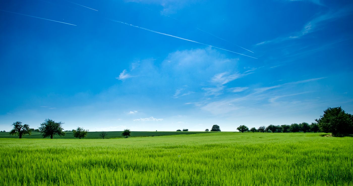 Rural land for sale