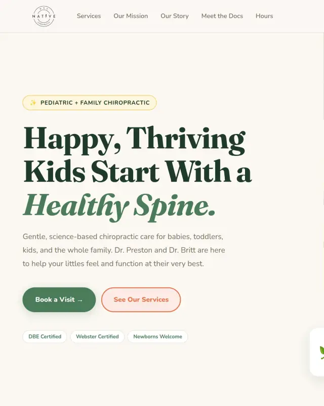 Concept for Native Chiropractic